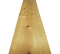 Ponderosa-Pine2.png