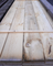 bohle-4x20-fichte-unbehandelt-saegerau-2.png