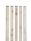 zaunlatte-25-50-funke-1_6MaH01W.400x400.png